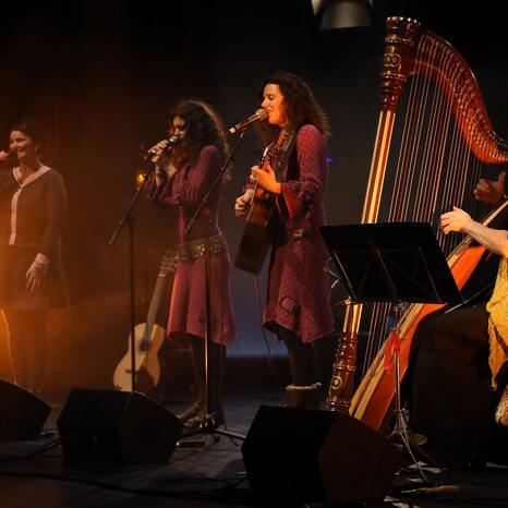 vivid-curls_img_a3295c54-56f4-4172-999f-d450c7233adf