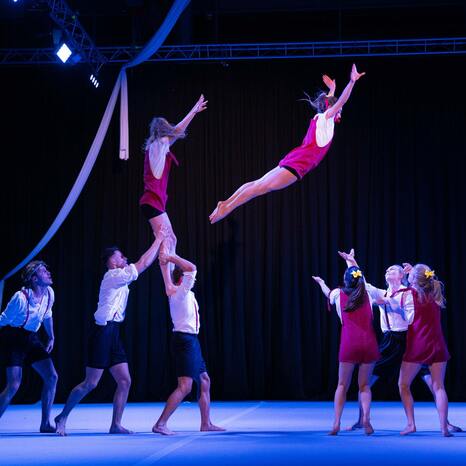 Nacht des Varietés (Ein buntes Feuerwerk bester Unterhaltung)